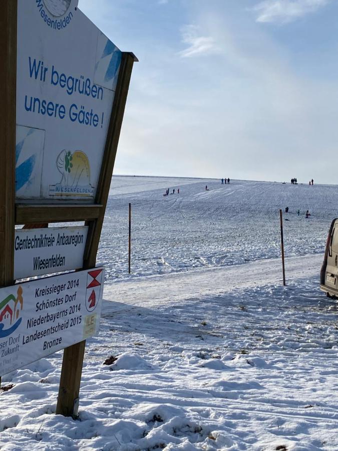 Grosszuegig Und Komfortabel:Ferienwohnung Im Bayerischen Wald! Wiesenfelden Экстерьер фото