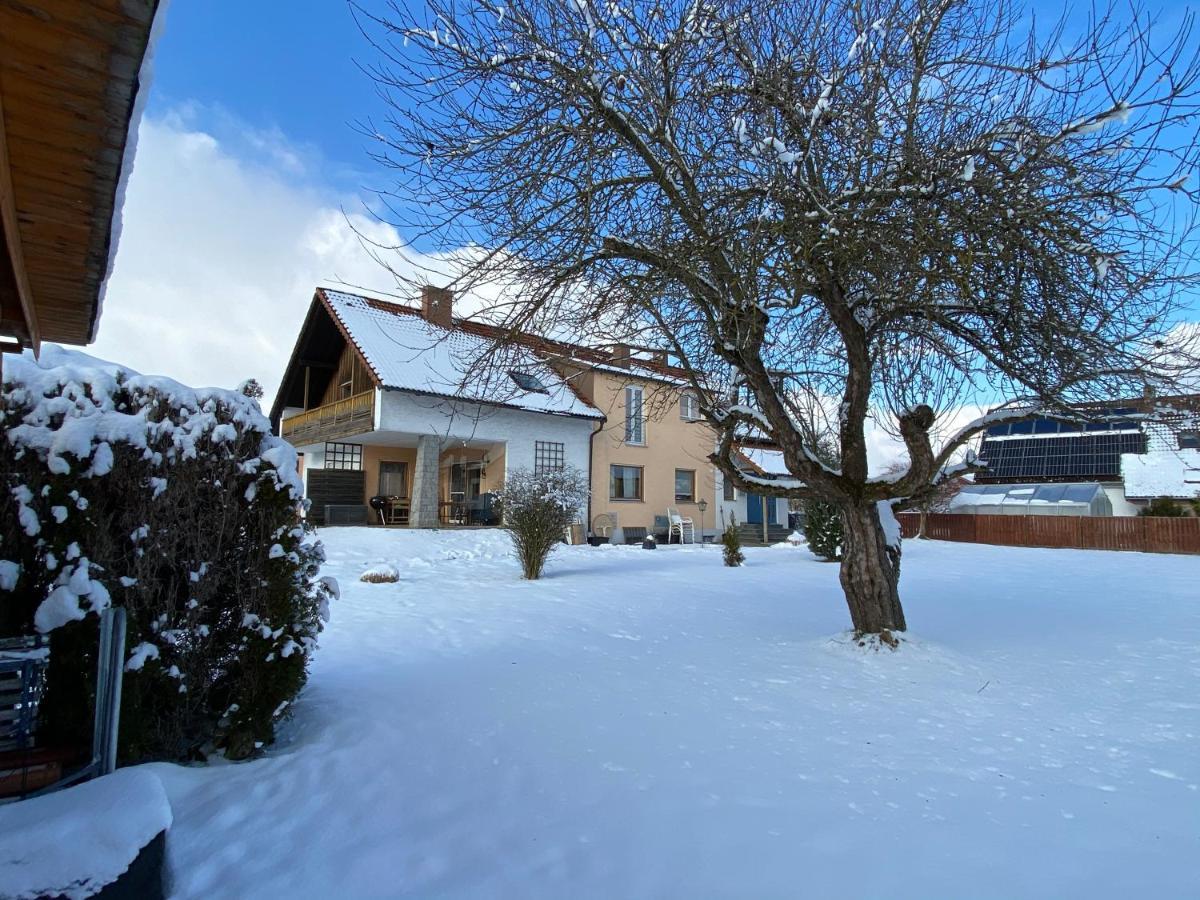 Grosszuegig Und Komfortabel:Ferienwohnung Im Bayerischen Wald! Wiesenfelden Экстерьер фото